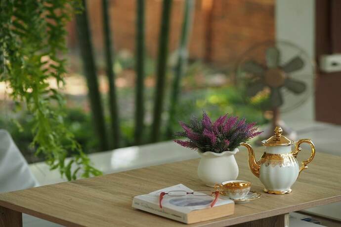 Imagen general del Hotel Uncle Jo Valley. Foto 16