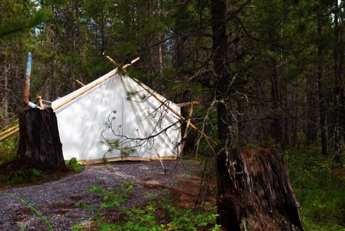 Imagen de la habitación del Hotel Under Canvas Glacier. Foto 10