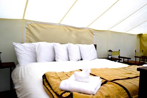 Imagen de la habitación del Hotel Under Canvas West Yellowstone. Foto 8