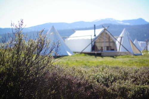 Imagen de la habitación del Hotel Under Canvas West Yellowstone. Foto 13
