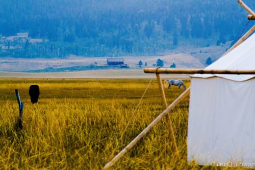 Imagen de la habitación del Hotel Under Canvas West Yellowstone. Foto 15