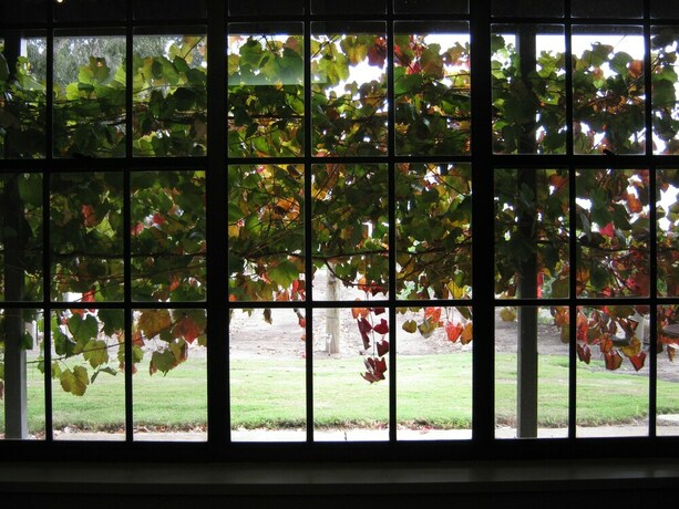 Imagen de los exteriores del Hotel Under the Vines. Foto 10