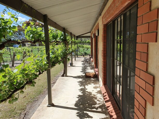 Imagen de los exteriores del Hotel Under the Vines. Foto 11