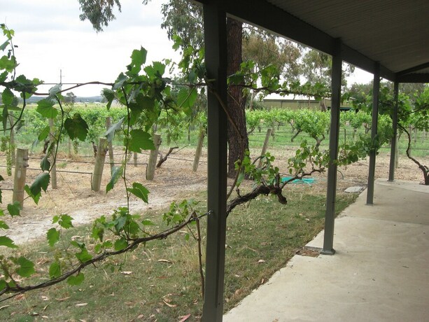 Imagen de los exteriores del Hotel Under the Vines. Foto 14