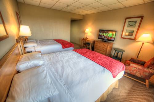 Imagen de la habitación del Hotel Unicoi State Park and Lodge. Foto 8