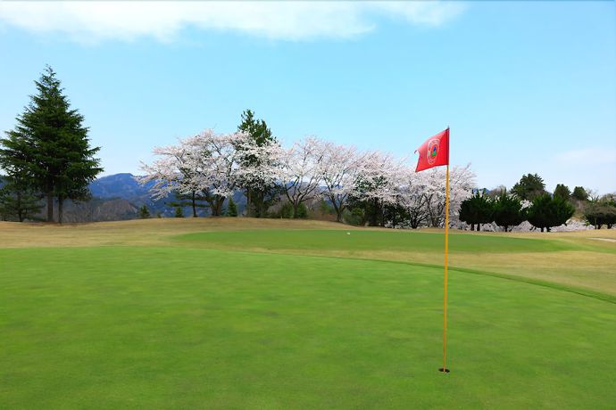 Imagen general del Hotel Union Vert. Foto 3