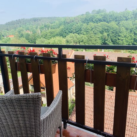 Imagen de la habitación del Hotel UniqČesk&yacute; &Scaron;ternberk. Foto 6