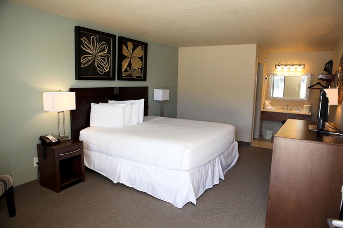 Imagen de la habitación del Hotel Unique Suites. Foto 8