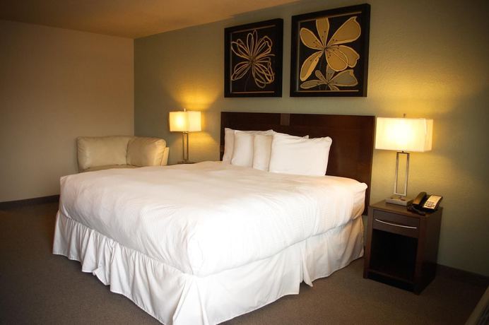 Imagen de la habitación del Hotel Unique Suites. Foto 13