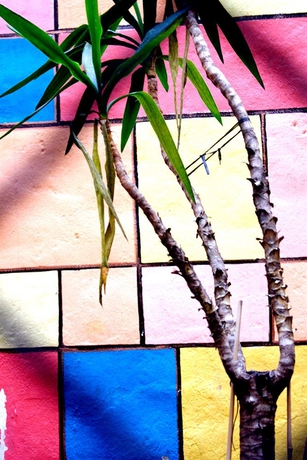 Imagen de los interiores del Hotel Universal Murcia. Foto 10