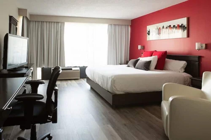 Imagen de la habitación del Hotel Universel Alma. Foto 3