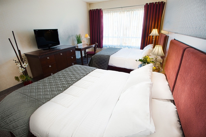 Imagen de la habitación del Hotel Universel. Foto 9