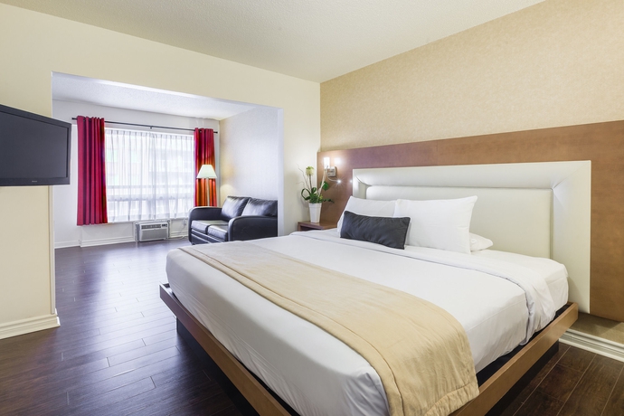 Imagen de la habitación del Hotel Universel, Quebec City. Foto 10