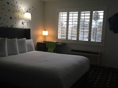 Imagen de la habitación del Hotel University Inn, Sky Harbor Aeropuerto. Foto 12