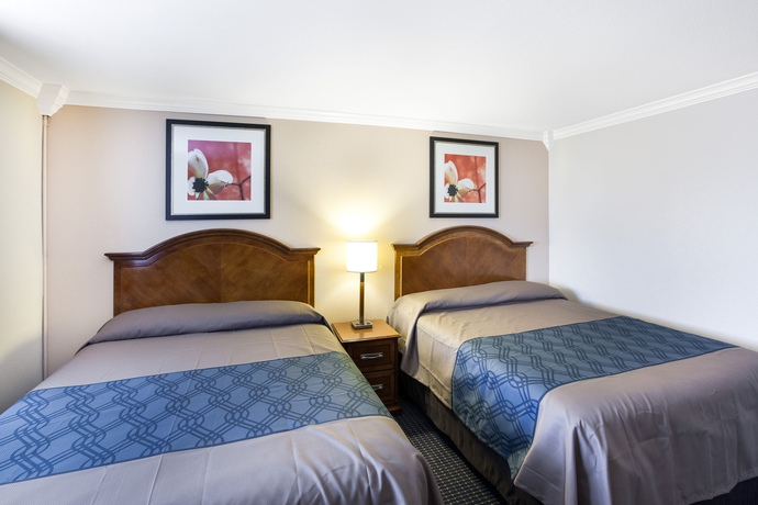 Imagen de la habitación del Hotel University Inn and Suites San Antonio. Foto 6