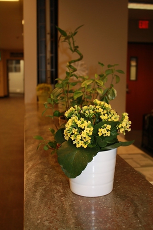 Imagen de los interiores del Hotel University Of Alberta - Guest Accommodation. Foto 19