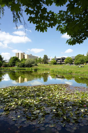 Imagen de los interiores del Hotel University Of Bath Guest Accommodation. Foto 13