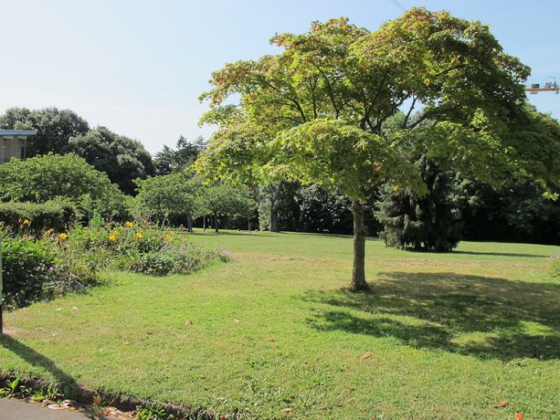 Imagen de los exteriores del Hotel University Of Exeter Pennsylvania Court. Foto 17