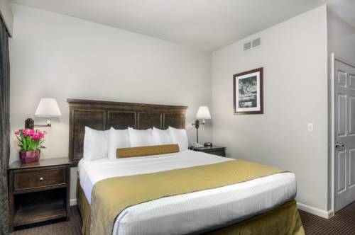 Imagen de la habitación del Hotel University Park Inn and Suites. Foto 7