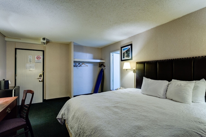 Imagen de la habitación del Hotel University and Suites. Foto 6