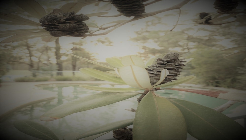 Imagen de la piscina del Hotel Unlax @ Hunter Valley. Foto 19