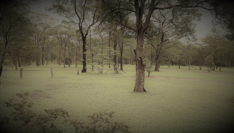 Imagen de los exteriores del Hotel Unlax @ Hunter Valley. Foto 17