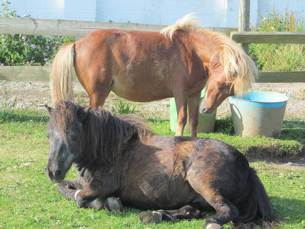 Imagen de los exteriores del Hotel Upton Cross. Foto 12