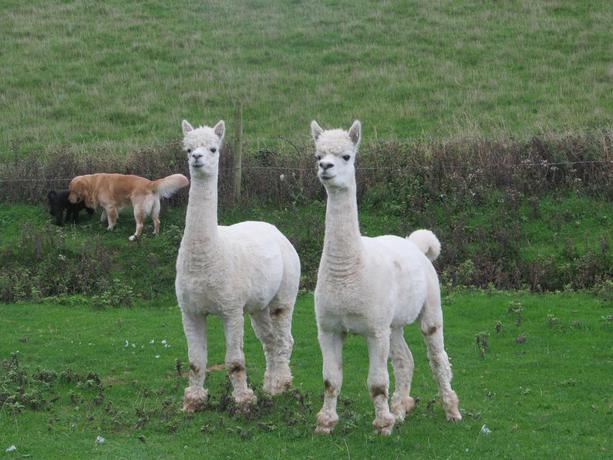 Imagen de los exteriores del Hotel Upton Cross. Foto 13