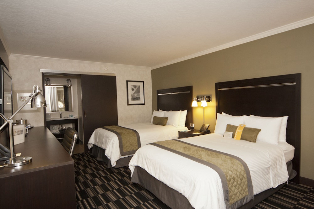 Imagen de la habitación del Hotel Uptown Oasis San Jose Airport. Foto 11
