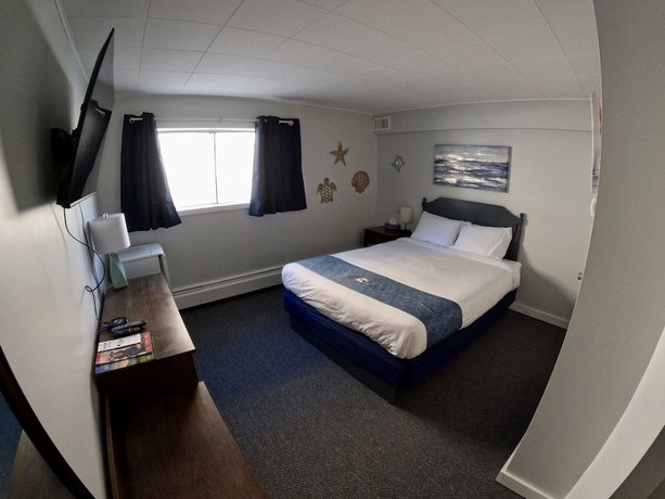 Imagen de la habitación del Hotel Uptowner. Foto 5