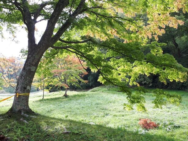 Imagen general del Hotel Urashima-so. Foto 8