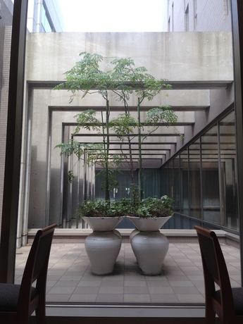 Imagen de los interiores del Hotel Urawa Washington. Foto 19