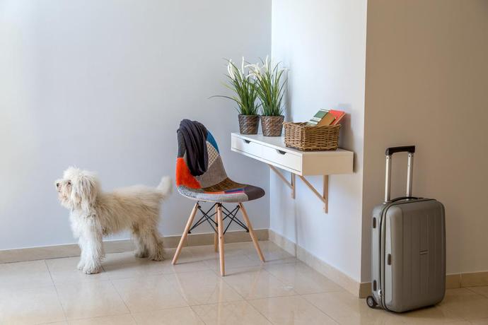 Imagen general del Hotel Urban Garden. Foto 7