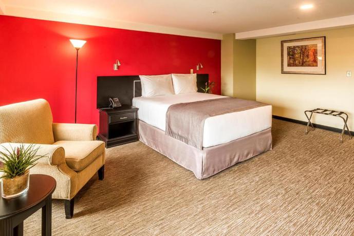 Imagen de la habitación del Hotel Urban Green & Suites. Foto 5