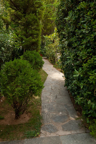 Imagen de la habitación del Hotel Urban Residence. Foto 11