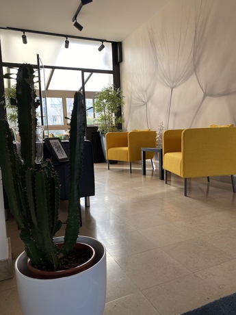 Imagen de los interiores del Hotel Urban Style Des C&egrave;dres. Foto 19