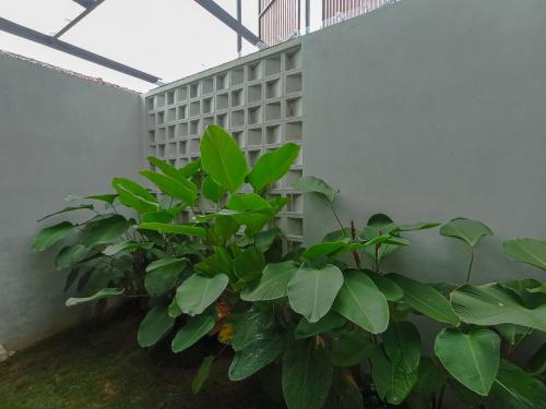 Imagen general del Hotel Urbanview Subali Purwokerto. Foto 3