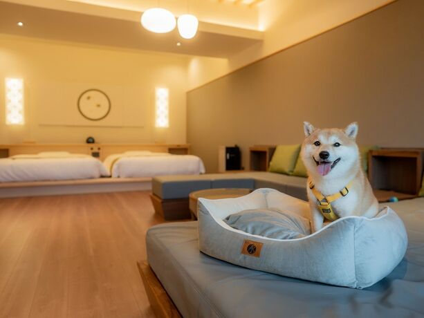 Imagen de la habitación del Hotel Ureshino Yadoya. Foto 12