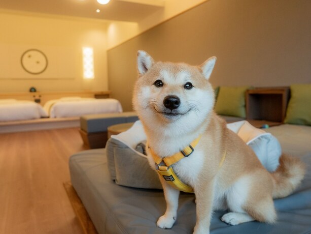Imagen de la habitación del Hotel Ureshino Yadoya. Foto 19