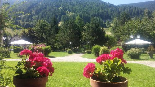 Imagen general del Hotel Urri. Foto 7