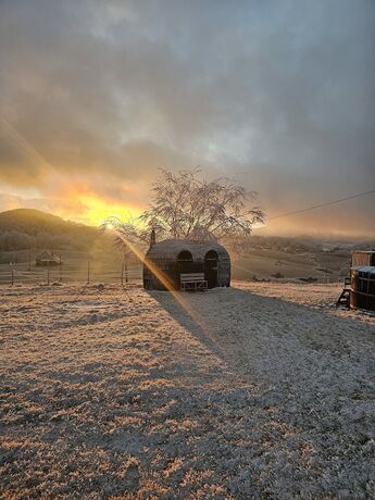 Imagen general del Hotel Ursa Mica Glamping Resort. Foto 14