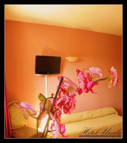 Imagen de la habitación del Hotel Ursula, Cambo Les Bains. Foto 12