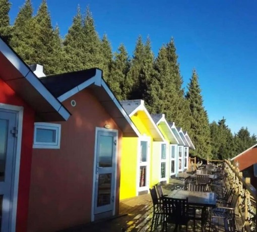 Imagen de la habitación del Hotel Urumchi Nanshan Scenery Retreats. Foto 30