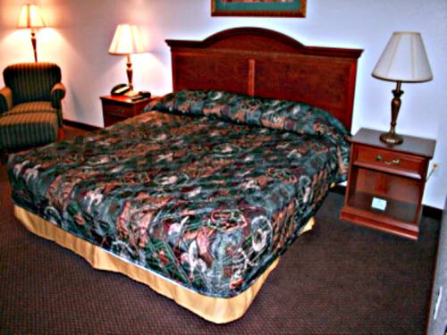 Imagen de la habitación del Hotel Usa Stay And Suites. Foto 9