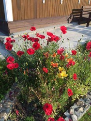 Imagen general del Hotel Usadba Demidova. Foto 3