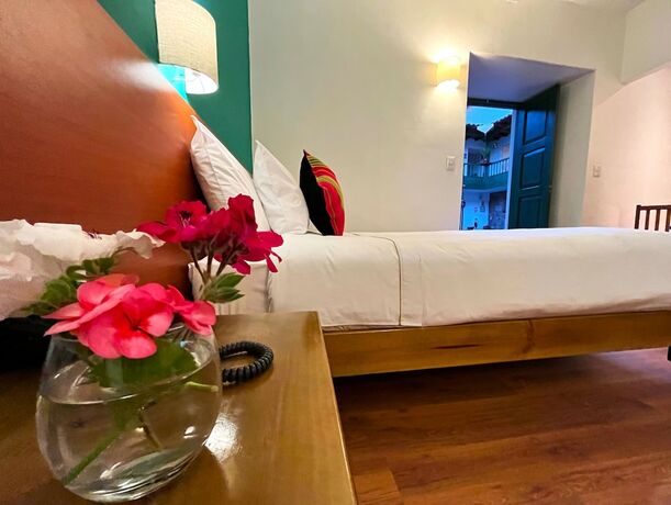 Imagen de la habitación del Hotel Usgar San Pedro Boutique. Foto 22