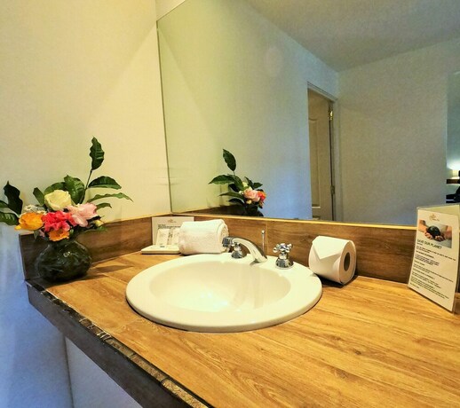 Imagen de la habitación del Hotel Usgar San Pedro Boutique. Foto 27