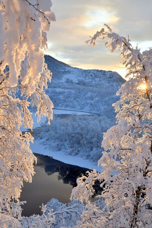 Imagen de la habitación del Hotel Utsjoki. Foto 10