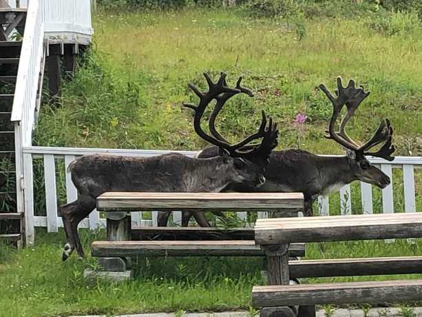 Imagen de los exteriores del Hotel Utsjoki. Foto 16