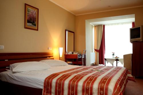 Imagen de la habitación del Hotel Uzhgorod. Foto 7